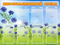 Стенд информационный с 7 карманами - «globural.ru» - Ростов-на-Дону