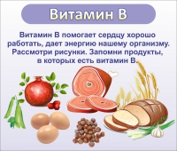 Стенд "Витамин В" - «globural.ru» - Ростов-на-Дону