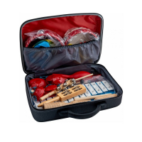 Набор детских музыкальных инструментов - «globural.ru» - Ростов-на-Дону