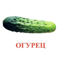 Карточки Домана "Овощи-Зелень-1" - «globural.ru» - Ростов-на-Дону