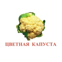 Карточки Домана "Овощи-Зелень-2" - «globural.ru» - Ростов-на-Дону