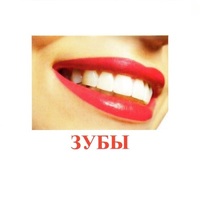 Карточки Домана "Части тела" - «globural.ru» - Ростов-на-Дону