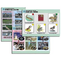 Комплект таблиц для  начальной школы "Окружающий мир. Экология" - «globural.ru» - Ростов-на-Дону