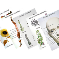 Таблицы по природоведению 1-3 класс - «globural.ru» - Ростов-на-Дону