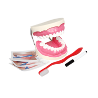 Игровой комплект "Чистим зубы" - «globural.ru» - Ростов-на-Дону