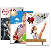 Модель-аппликация "Здоровье человека" - «globural.ru» - Ростов-на-Дону