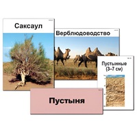 Модель-аппликация "Природные зоны России" - «globural.ru» - Ростов-на-Дону