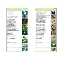 Комплект карточек (10) "Обучающий калейдоскоп. Природа" - «globural.ru» - Ростов-на-Дону