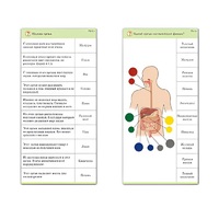 Комплект карточек (10) "Обучающий калейдоскоп. Человек" - «globural.ru» - Ростов-на-Дону