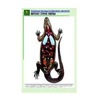 Рельефная таблица "Внутреннее строение ящерицы" (формат А1, матовое ламинир.) - «globural.ru» - Ростов-на-Дону