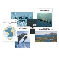 Модель-аппликация "Океаны. Знакомство" (ламинированная) - «globural.ru» - Ростов-на-Дону