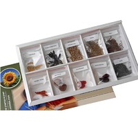 Коллекция "Плоды сельскохозяйственных растений" (вариант 2) - «globural.ru» - Ростов-на-Дону