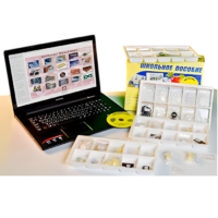 Коллекция натурально-интерактивная "Пластмассы" - «globural.ru» - Ростов-на-Дону