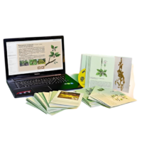 Гербарий натурально-интерактивный "Дикорастущие растения" - «globural.ru» - Ростов-на-Дону