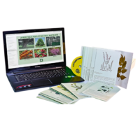 Гербарий натурально-интерактивный "Лекарственные растения" - «globural.ru» - Ростов-на-Дону