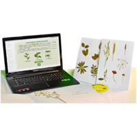 Гербарий натурально-интерактивный "Морфология растений" - «globural.ru» - Ростов-на-Дону