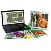 Гербарий натурально-интерактивный "Основные группы растений. Грибы. Лишайники" - «globural.ru» - Ростов-на-Дону