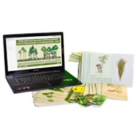 Гербарий натурально-интерактивный "Растительные сообщества. Лес" - «globural.ru» - Ростов-на-Дону