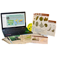 Гербарий натурально-интерактивный к курсу основ общей биологии - «globural.ru» - Ростов-на-Дону