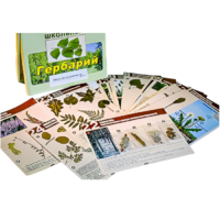 Гербарий к курсу основ общей биологии - «globural.ru» - Ростов-на-Дону