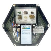 Модуль интерактивный с искусственным интеллектом "Интеллектуальная география" - «globural.ru» - Ростов-на-Дону