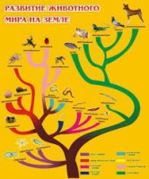 Стенд "Развитие животного мира на земле" - «globural.ru» - Ростов-на-Дону