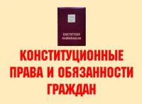 Комплект плакатов "Конституционные права и обязанности граждан" - «globural.ru» - Ростов-на-Дону