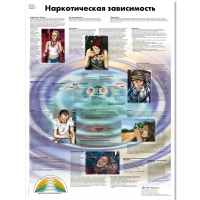 Плакат "Наркотическая зависимость", ламинированный, 50*67 см - «globural.ru» - Ростов-на-Дону