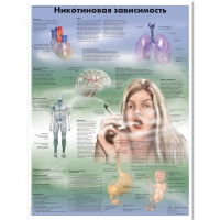 Плакат "Никотиновая зависимость", ламинированный, 50*67 см - «globural.ru» - Ростов-на-Дону