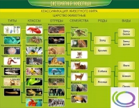 Стенд "Систематика животных" - «globural.ru» - Ростов-на-Дону