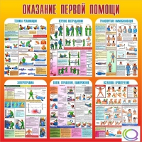 Стенд "Оказание первой помощи" - «globural.ru» - Ростов-на-Дону