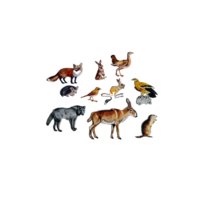 Фланелеграф "Животные степи" - «globural.ru» - Ростов-на-Дону