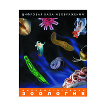 Зоология. Микрофотографии. (Цифровая база изображений) - «globural.ru» - Ростов-на-Дону