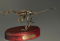 Модель скелета динозавра Velociraptor - «globural.ru» - Ростов-на-Дону