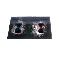 Набор «Эксперименты с магнитным полем» - «globural.ru» - Ростов-на-Дону