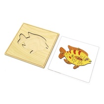 Строение рыбки с контуром - «globural.ru» - Ростов-на-Дону