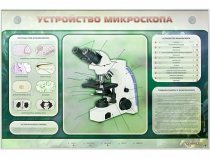 Электрифицированный стенд "Устройство микроскопа и правила работы c ним" - «globural.ru» - Ростов-на-Дону