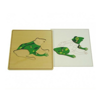 Строение лягушки с контуром - «globural.ru» - Ростов-на-Дону