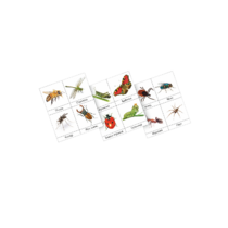 Фланелеграф "Насекомые" - «globural.ru» - Ростов-на-Дону