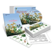 Комбинированное наглядное пособие «Растения» - «globural.ru» - Ростов-на-Дону