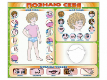 Стенд маркерный "Познаю себя" (тело, голова, органы чувств) - «globural.ru» - Ростов-на-Дону