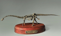 Модель скелета динозавра Diplodocus  (вариант 2) - «globural.ru» - Ростов-на-Дону