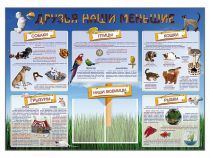 Стенд-уголок "Друзья наши меньшие" - «globural.ru» - Ростов-на-Дону