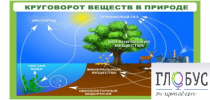 Стенд "Круговорот веществ" - «globural.ru» - Ростов-на-Дону