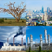 Модель-аппликация Биосфера и человек - «globural.ru» - Ростов-на-Дону