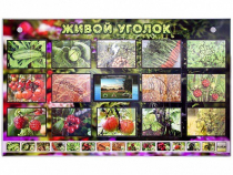 Комплект оборудования "Живой уголок" (растения) с тифлопереводом и сурдокомментариями - «globural.ru» - Ростов-на-Дону