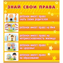 Стенд "Знай свои права" - «globural.ru» - Ростов-на-Дону