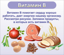 Стенд "Витамин В" - «globural.ru» - Ростов-на-Дону