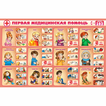 Стенд "Первая помощь" - «globural.ru» - Ростов-на-Дону