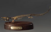 Модель скелета мозазавра Mosasaurus - «globural.ru» - Ростов-на-Дону